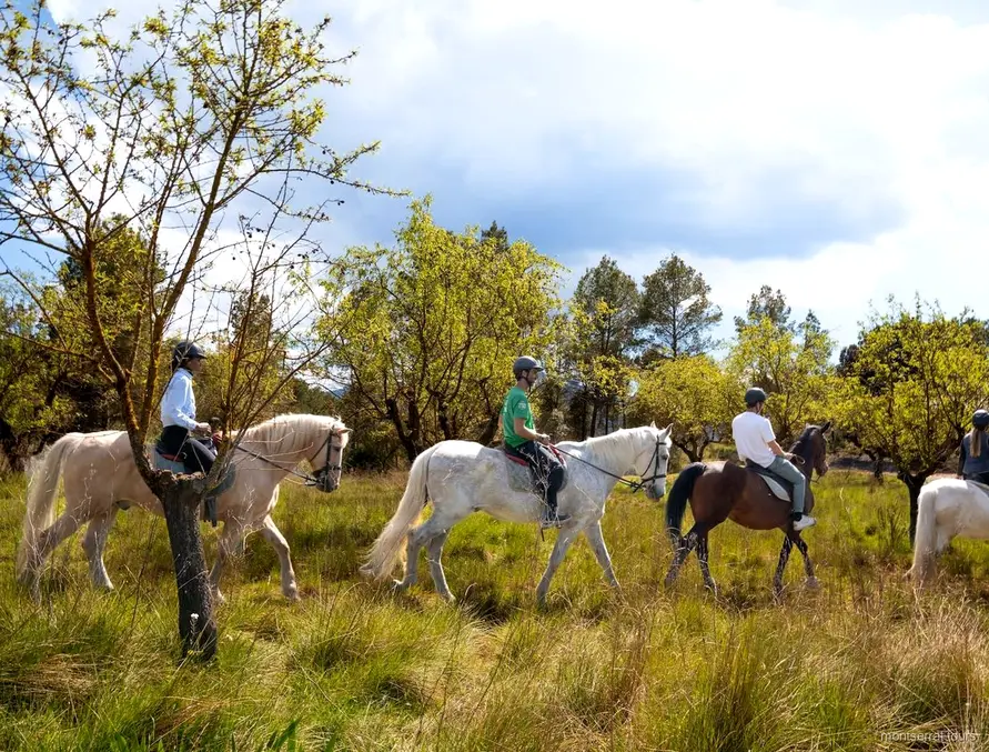 Marche guidée dans le parc naturel de Montserrat avant la balade à cheval
