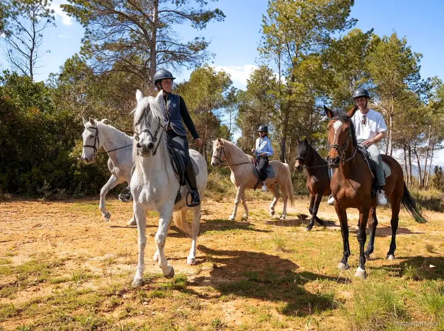Pics rocheux de Montserrat vus depuis le sentier de la balade à cheval
