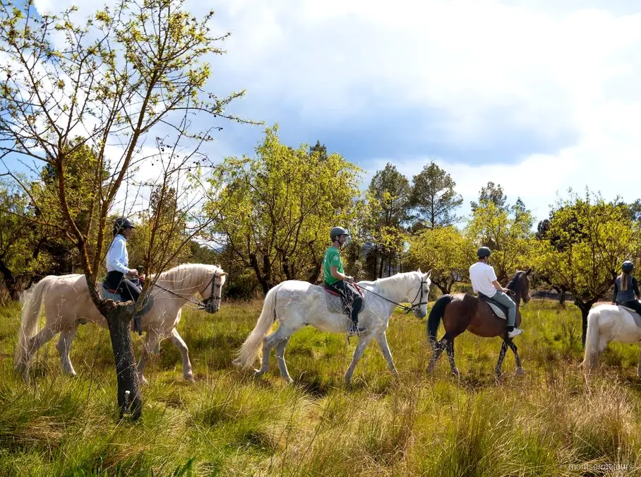 Guided walk through Montserrat National Park before the horseback ride