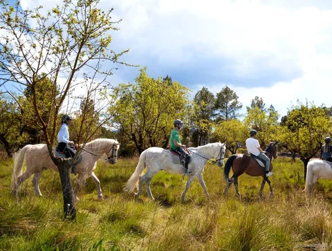 Paseo guiado por el Parque Natural de Montserrat antes del paseo a caballo