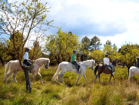 Camminata guidata nel Parco Naturale di Montserrat prima dell'escursione a cavallo