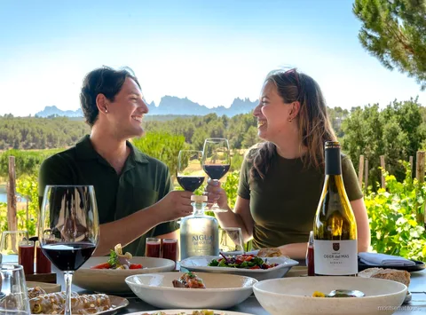 Terrasse du restaurant viticole avec vue sur la montagne de Montserrat sur l'excursion déjeuner et vin