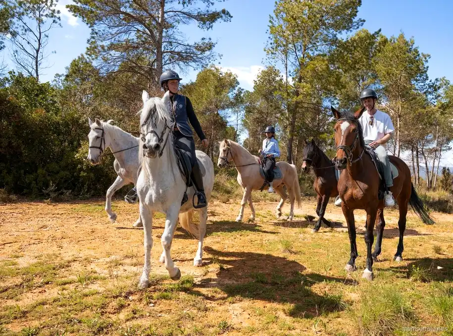 Cims de roca de Montserrat vists des del camí del passeig a cavall