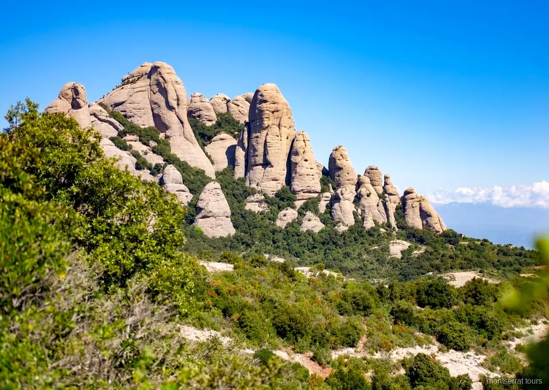 Formacions rocoses dentades al Parc Natural de Montserrat vistes en la caminada fàcil
